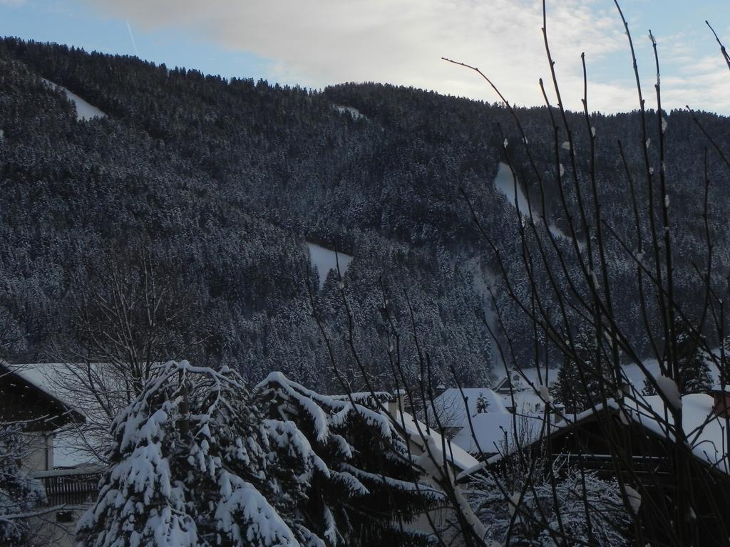 Hotel Des Skieurs Le Sappey-en-Chartreuse Buitenkant foto